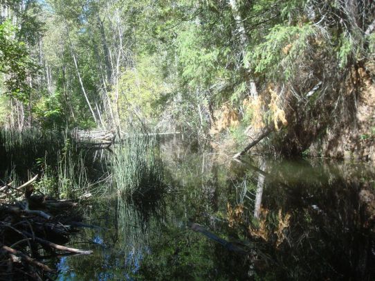Beaver Treasure lake