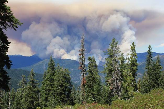 Marti Mullions picture