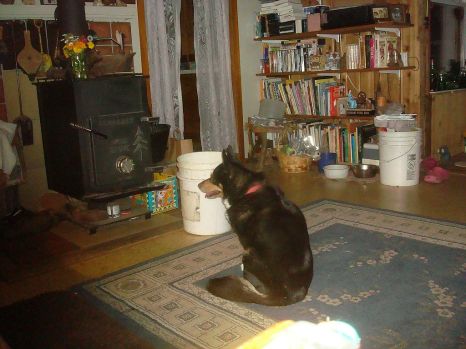 waiting for her master