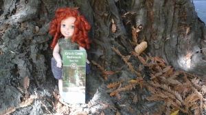 11-merida-in-the-redwoods