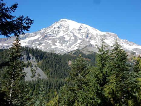 113-ranier-9xx